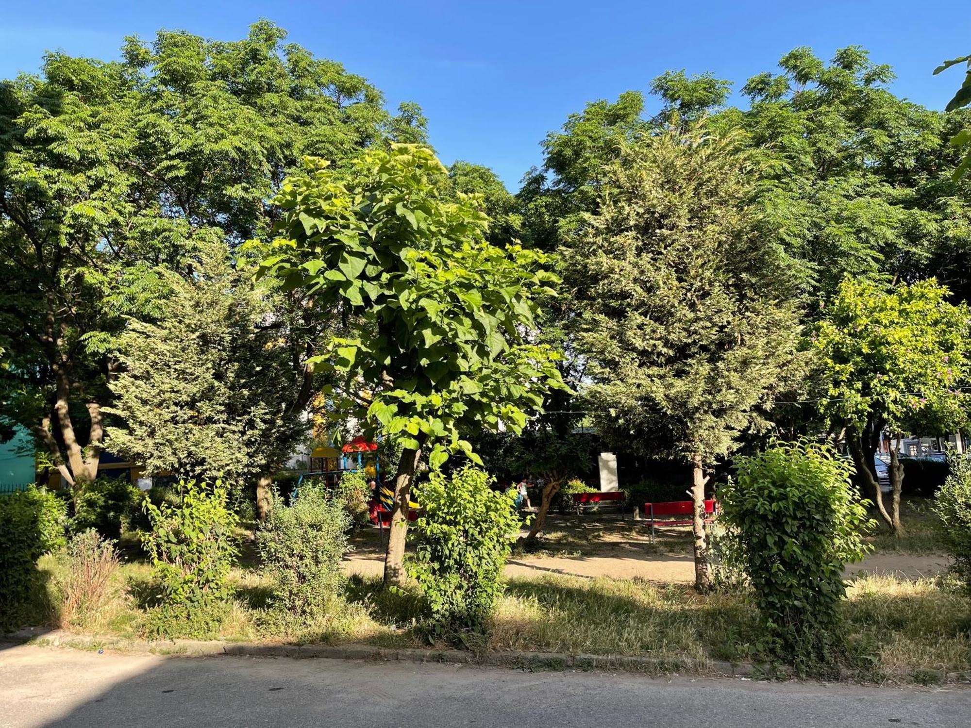 Nos Luxury Rooms Shkodër Buitenkant foto
